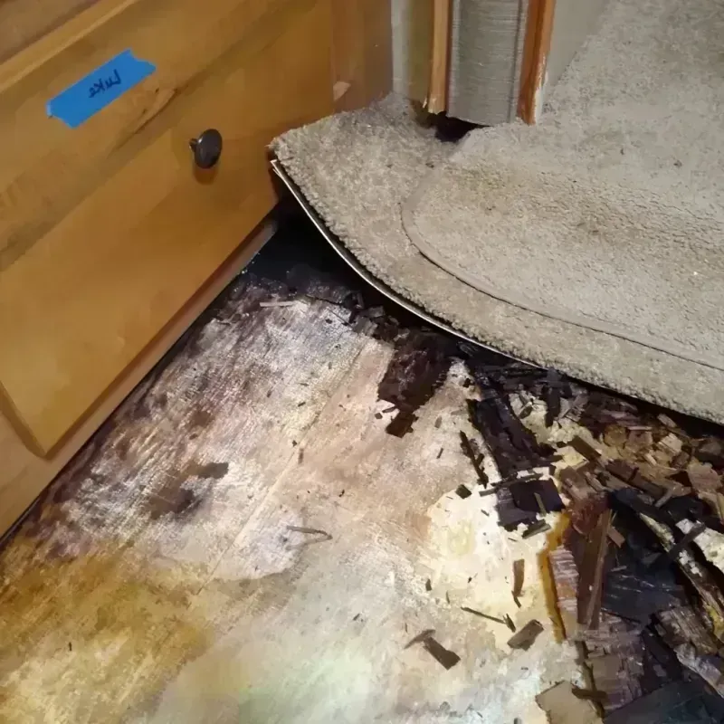 Best Wood Floor Water Damage Service in Hollandale, MS